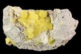 Sulfur Crystals & Selenite on Matrix - Italy #93652-1